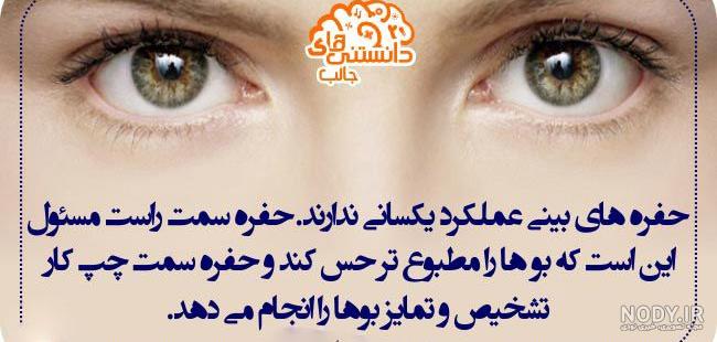 عکس علمی برای پروفایل