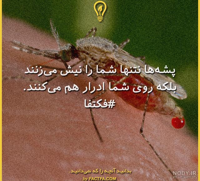 عکس علمی برای پروفایل گروه