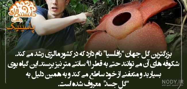 عکس علمی جالب