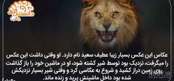 عکس نوشته علمی زیبا