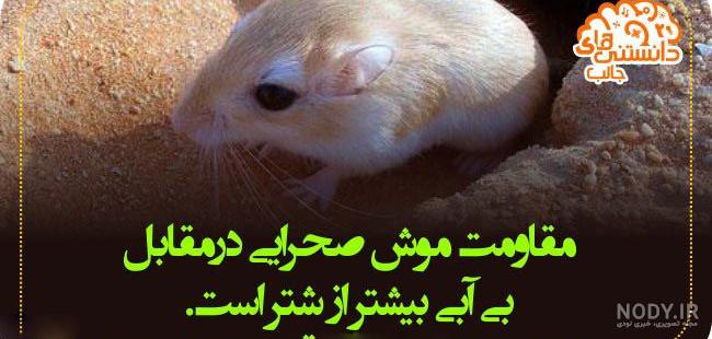 عکس های جالب و علمی