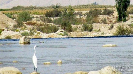 تاریخچه پل فهلیان ممسنی تاریخچه پل فهلیان ممسنی