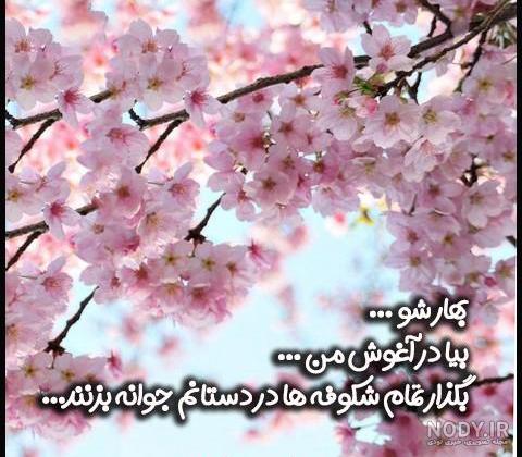 تتوی اسم علی