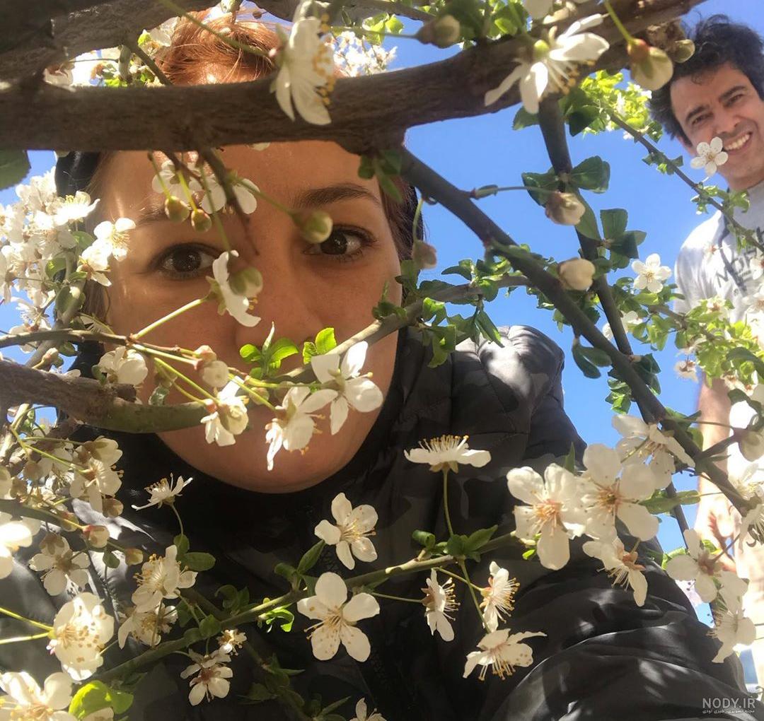 تصویر زمینه شکوفه تصویر زمینه شکوفه