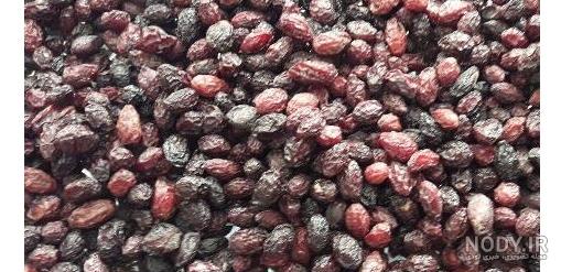 زغال اخته چیست زغال اخته چیست