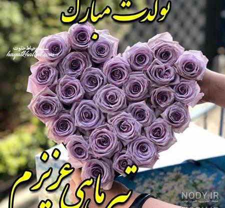 عکس تولدت مبارک تیر ماهی جان