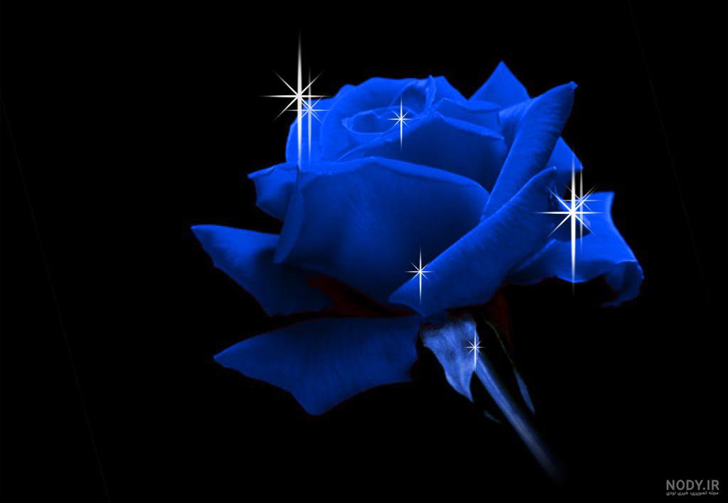 عکس سبد گل زیبا برای پروفایل عکس سبد گل زیبا برای پروفایل