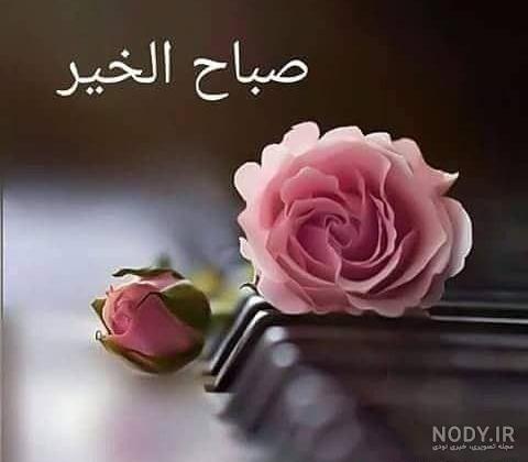 عکس شب بخیر عربی