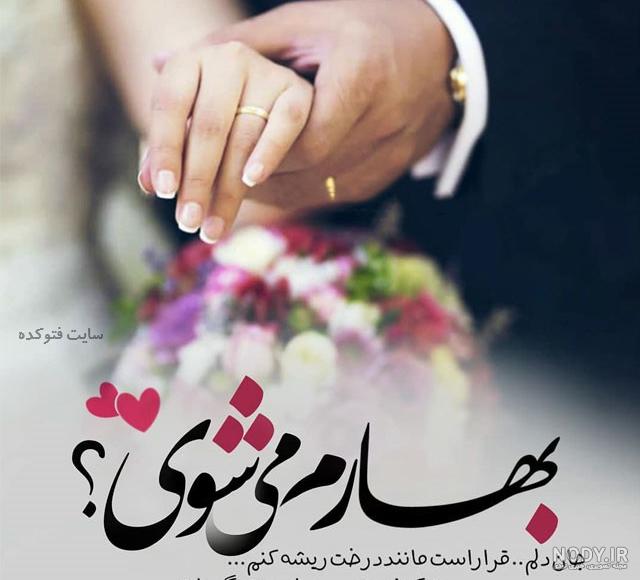 عکس شکوفه