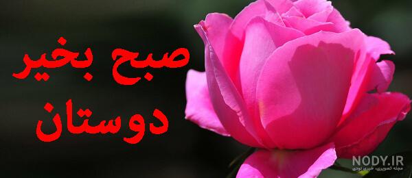 عکس صبح بخیر به عربی