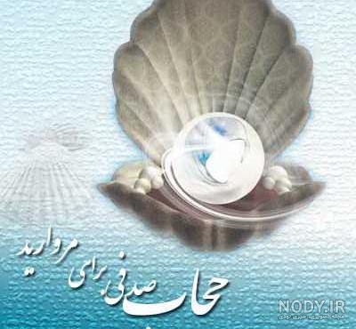 عکس صدف دریایی واقعی عکس صدف دریایی واقعی