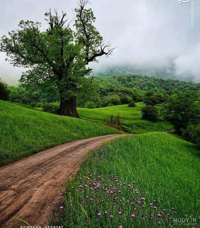 عکس طبیعت واقعی عکس طبیعت واقعی