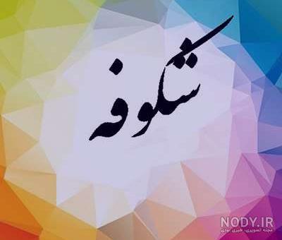 عکس نوشته اسم محمدرضا و فاطمه