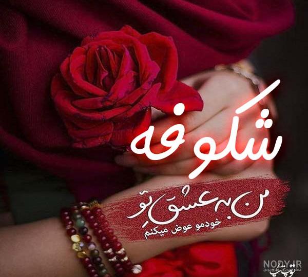 عکس نوشته ایوب و فاطمه