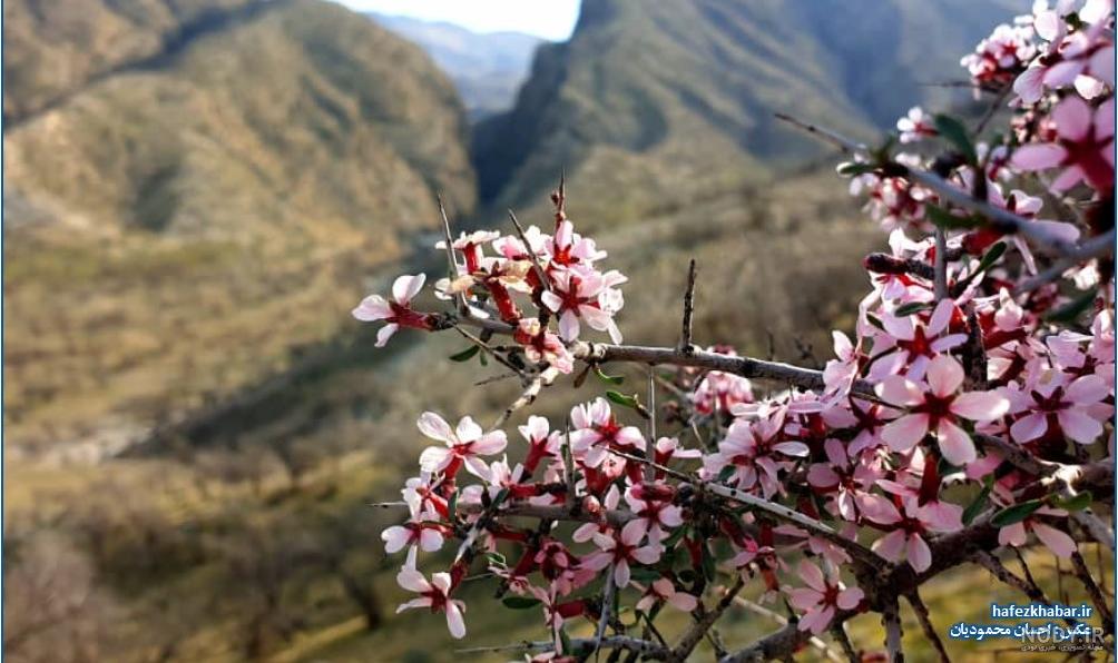 عکس پروفایل بهاری دخترانه جدید عکس پروفایل بهاری دخترانه جدید