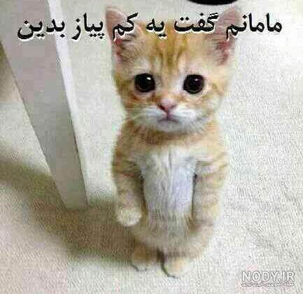 عکس پروفایل خفن