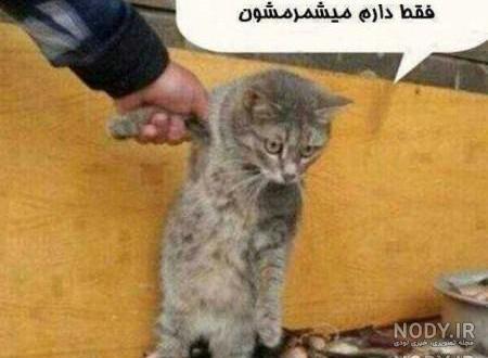عکس پروفایل پسرانه با ماسک