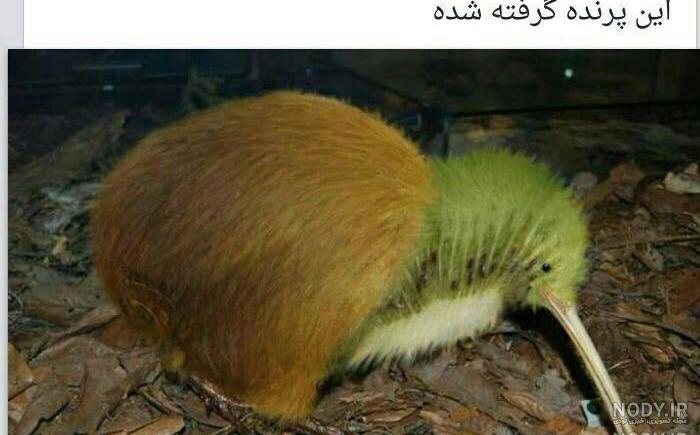 عکس پروفایل پسرانه ۲۰۲۱