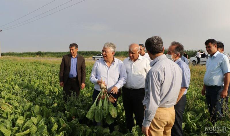 عکس پسر یونس ژائله عکس پسر یونس ژائله