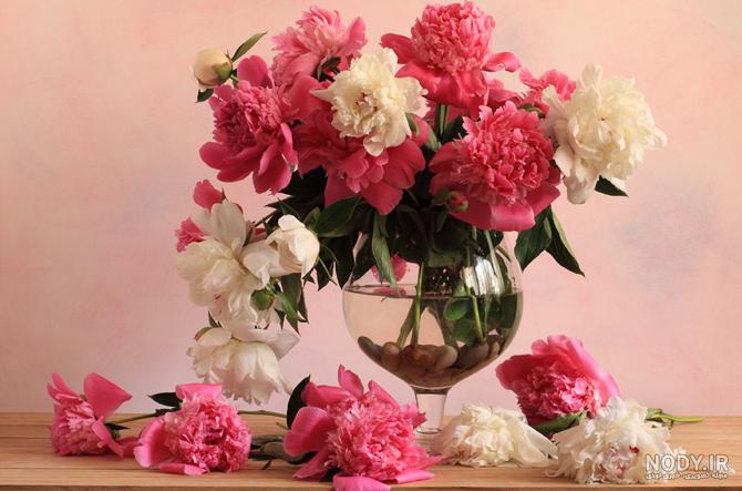 عکس گلهای زیبا در گلدان