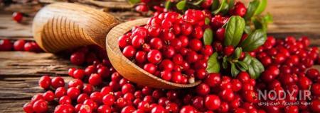قیمت امروز زغال اخته قیمت امروز زغال اخته