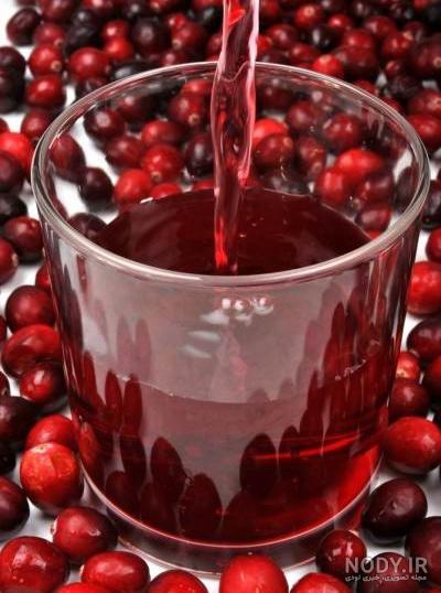 قیمت زغال اخته آبی قیمت زغال اخته آبی