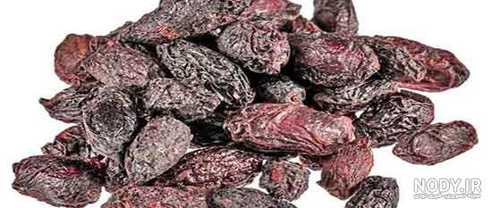 قیمت زغال اخته خشک قیمت زغال اخته خشک
