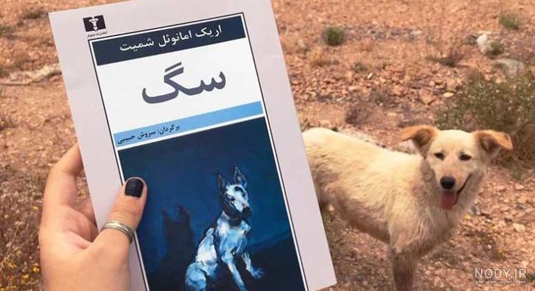 متن درباره سگ به انگلیسی