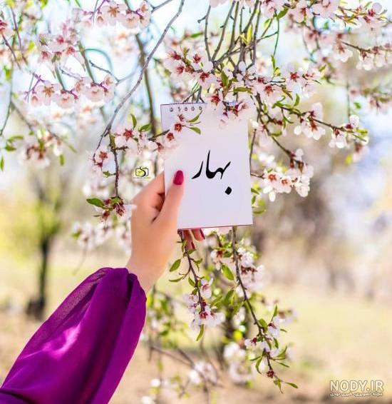 پروفایل بهاری عاشقانه بدون متن پروفایل بهاری عاشقانه بدون متن