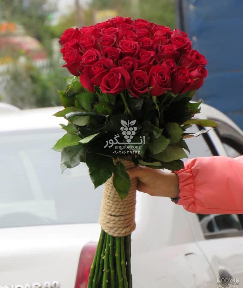 گل زیبا گل زیبا
