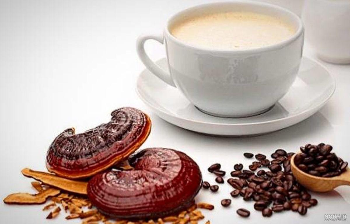 خواص قهوه گانودرما دکتر بیز