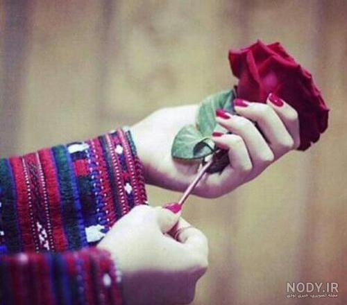 دانلود عکس وضعیت