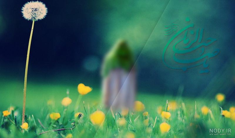 عکس امام زمان در کربلا
