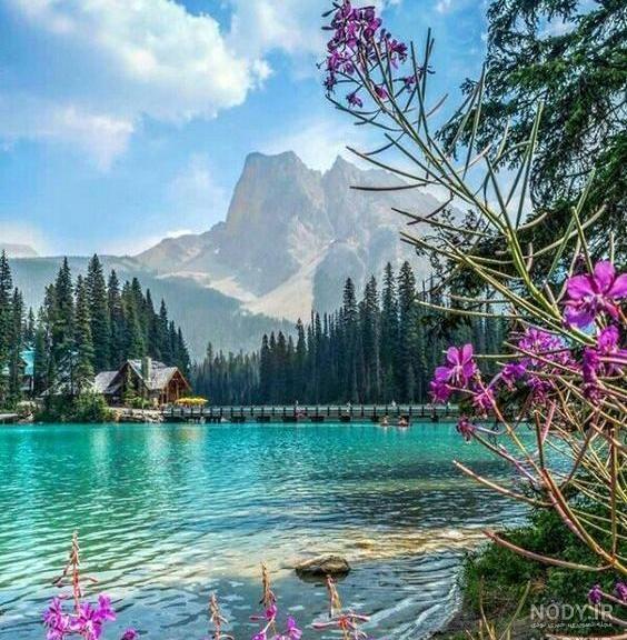 عکس برای پروفایل واتساپ پسرونه عکس برای پروفایل واتساپ پسرونه