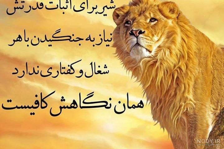 عکس شیر آتشین برای پروفایل