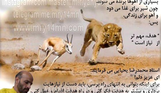 عکس شیر با تاج