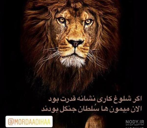 عکس شیر با نوشته برای پروفایل