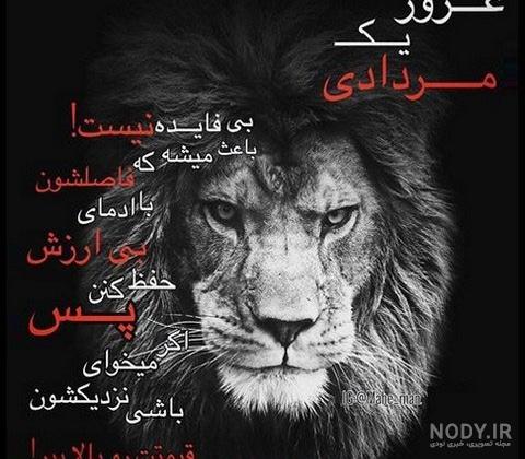 عکس شیر سیاه سفید