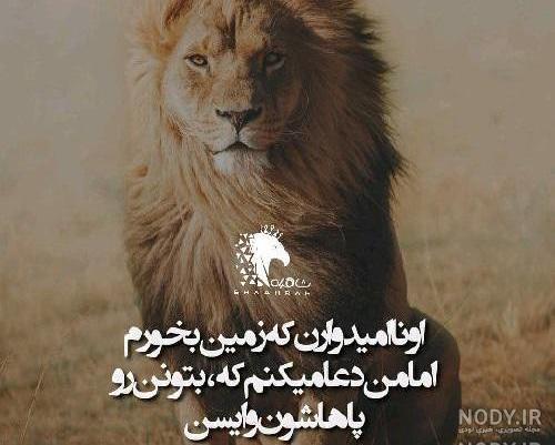 عکس شیر سیاه سفید