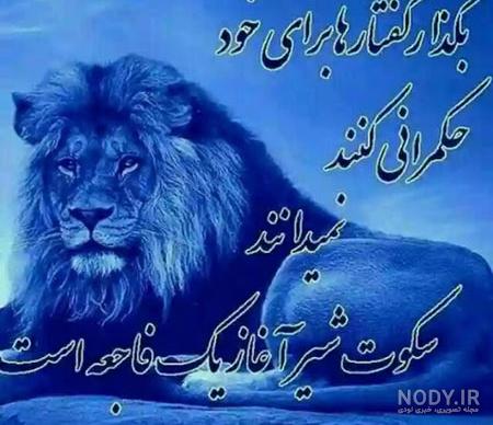 عکس شیر عصبانی