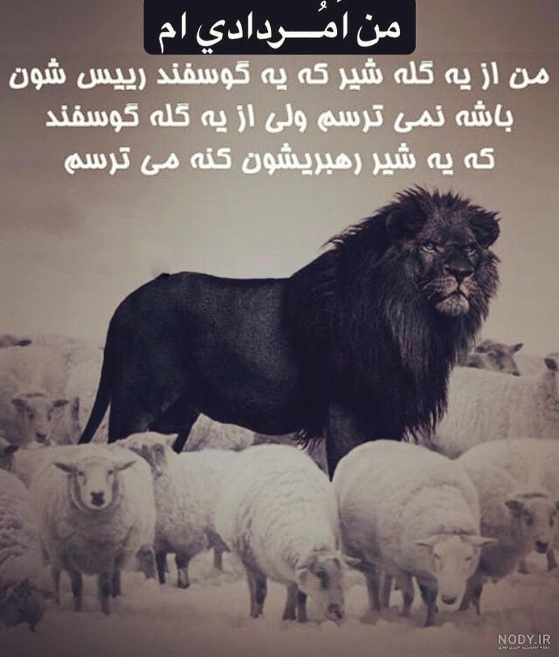 عکس شیر قرمز