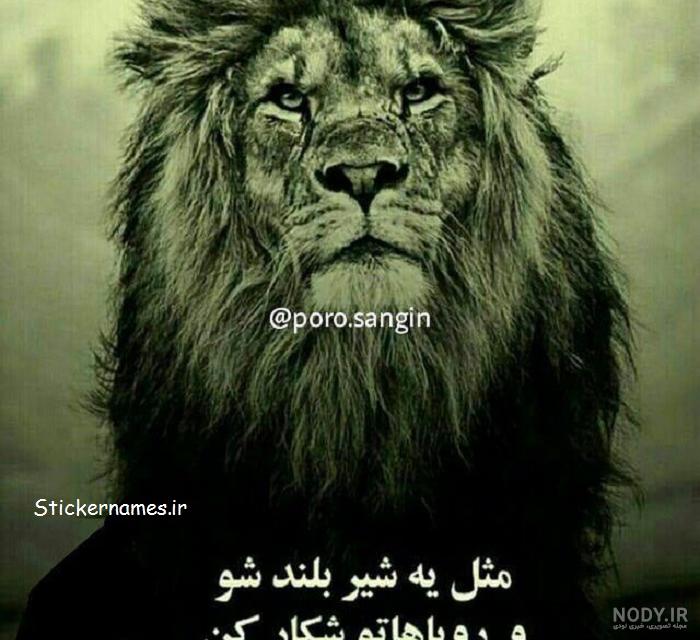 عکس شیر نوشته