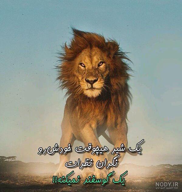 عکس شیر نوشته شده