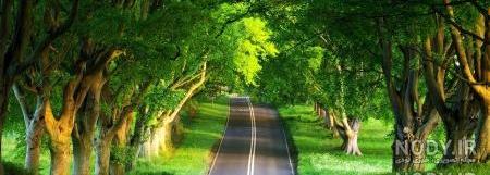 عکس عاشقانه بهاری بدون متن