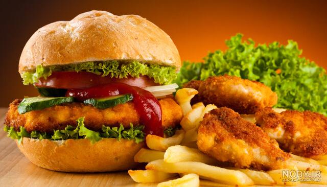 عکس غذا های چرب عکس غذا های چرب