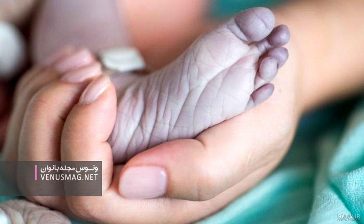 عکس نوزادان مرده