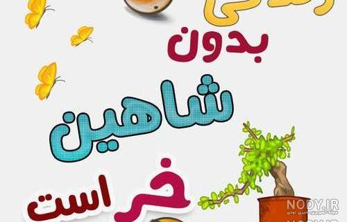 عکس نوشته شاهین پرنده