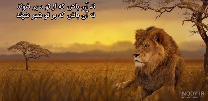 عکس نوشته شیر مردادی