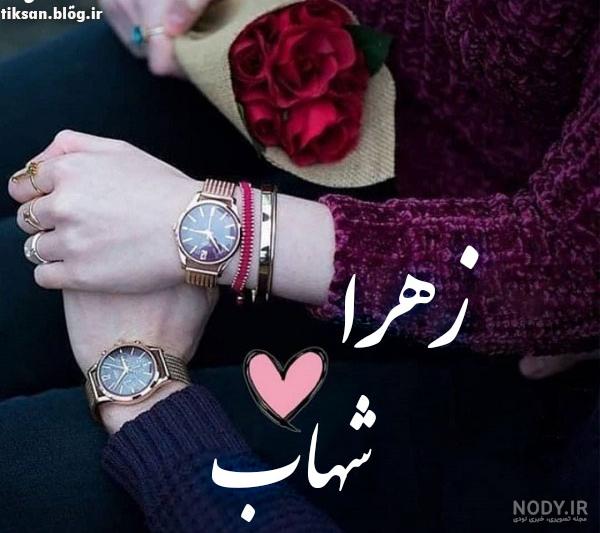 عکس پرنده سمانه