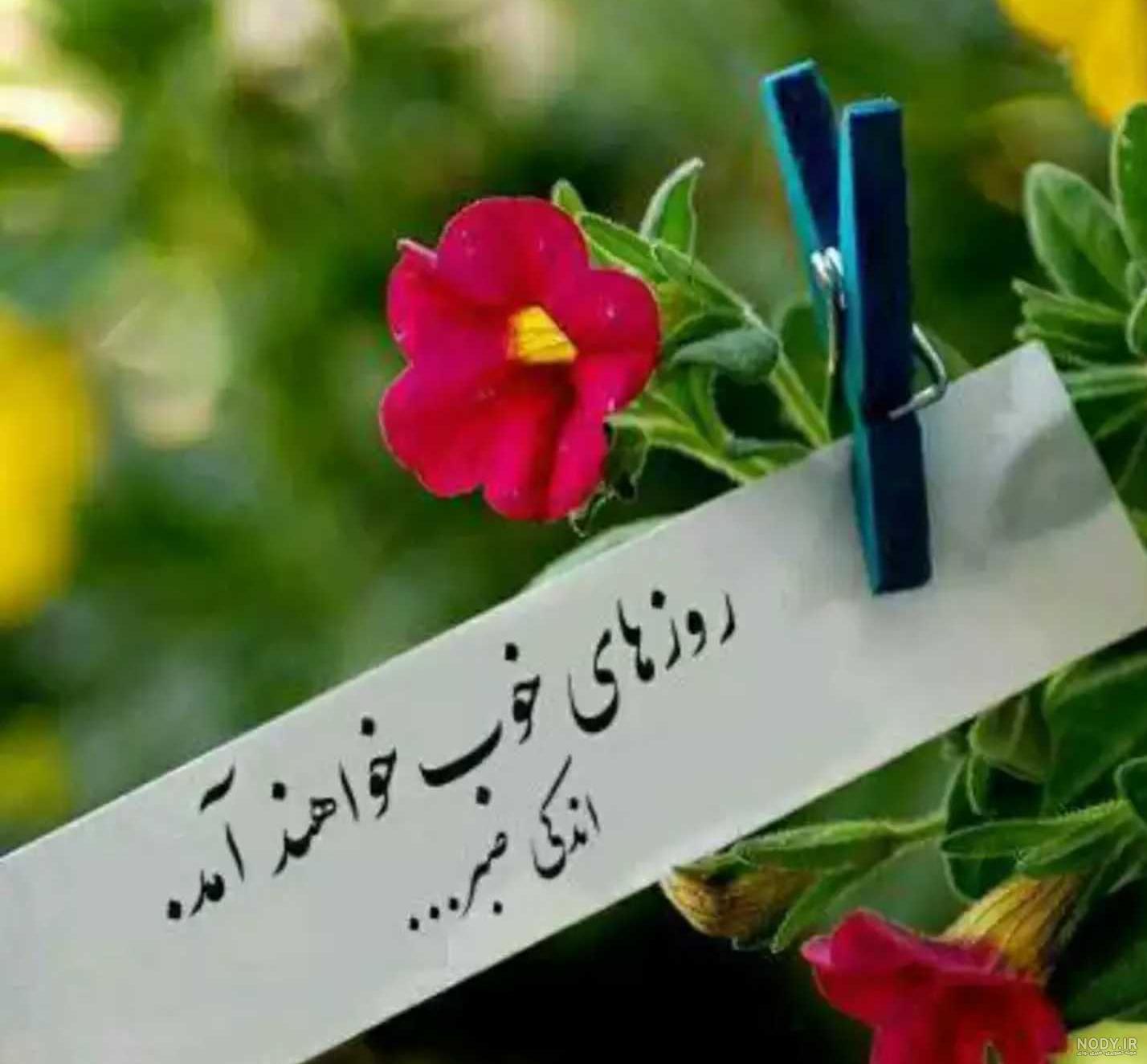 عکس پروفایل بهاری عکس پروفایل بهاری